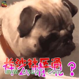 Ȍ